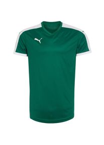 Puma, Herren Fußballtrikot 'Pitch', Grün