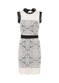 Wal G., Damen Spitzenkleid, Rosa / Schwarz