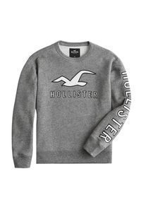 Hollister, Herren Sweatshirt 'BTS18-T158 ICONIC TECH LOGO CREW 3CC', Grau