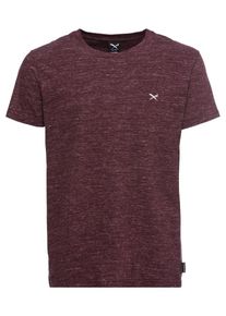 Iriedaily, Herren T-Shirt 'Chamisso Tee', Weinrot