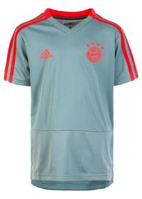 adidas Performance, Trikot 'FC Bayern M&uuml;nchen', Pastellblau / Hellrot