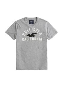 Hollister, Herren Shirt 'ARCH+BLOCKING TECH LOGO', Grau