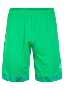 Puma, Herren Shorts, Gr&uuml;n