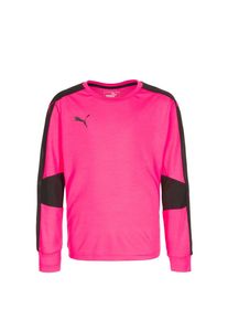 Puma, Triumphant Torwarttrikot , Pink / Schwarz
