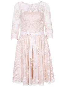Apart, Damen Spitzenkleid, Puder