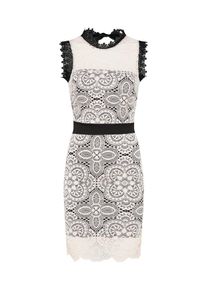 Wal G., Damen Spitzenkleid, Rosa / Schwarz