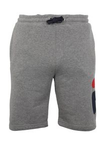 Fila, Herren Sporthose 'Robert', Grau
