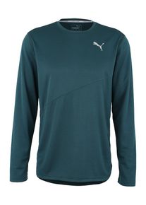 Puma, Herren Langarmshirt 'Ignite Mono', Grau / Tanne