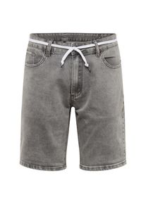Iriedaily, Herren Shorts 'Slim Shot2', Grau
