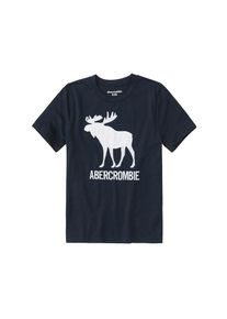 Abercrombie & Fitch Abercrombie & Fitch, Shirt 'JAN TECH LOGO 5CC', Navy / Wei&szlig;