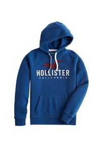 Hollister, Herren Sweatshirt, Blau