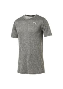 Puma, Herren T-Shirt 'Ignite', Rauchgrau
