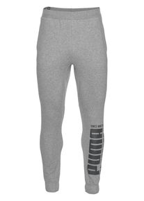 Puma, Herren Hose 'Rebel Bold ', Grau