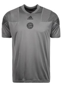 adidas Performance, Herren FC Bayern München Licensed Icons Trainingsshirt, Grau