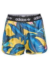 adidas originals, Damen Shorts, bunt