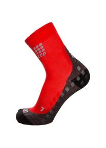 CEP, Herren Kompressionssocken, Rot