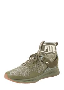 Puma, Herren Laufschuhe 'IGNITE evoKNIT Hypernature', Oliv