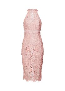 Bardot, Damen Spitzenkleid, Rosa