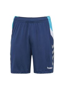 Hummel, Herren Shorts 'Tech Move Poly', Blau / Hellblau