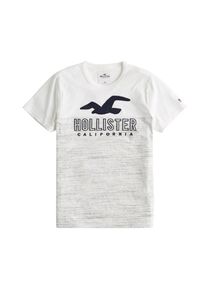 Hollister, Herren T-Shirt 'SS ICONIC TECH LOGO BLOCKING F 5CC', Dunkelblau / Grau / Weiß