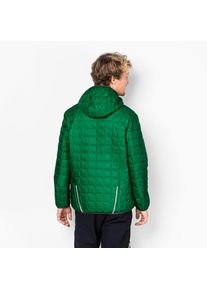 Jack Wolfskin, Herren Outdoorjacke 'ANDEAN PEAKS MEN', Tanne
