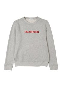 Calvin Klein Jeans, Mädchen Sweatshirts 'LOGO COTTON TERRY SWEATSHIRT', Graumeliert
