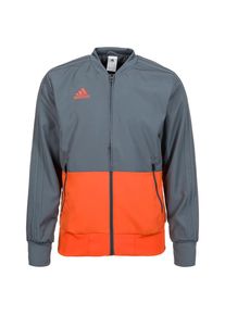 adidas Performance, Herren Pr&auml;sentationsjacke 'Condivo 18', Grau