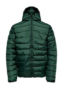 Only & Sons Only & Sons, Herren Steppjacke, Grün