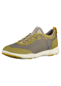 Geox, Herren Sneaker, Curry / Grau