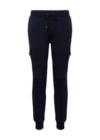Polo Ralph Lauren, Herren Hose 'CARGOJOGGRM5-CARGO-PANT', Navy