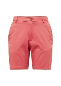 IZOD, Herren Shorts 'SALTWATER', Melone