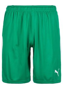 Puma, Herren Short 'Liga', Gr&uuml;n / Wei&szlig;