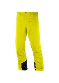 Salomon, Herren Skihose 'Icemania', Zitrone / Schwarz