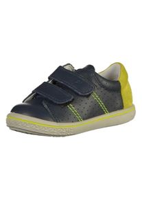 Pepino, Sneaker, Navy / Schilf