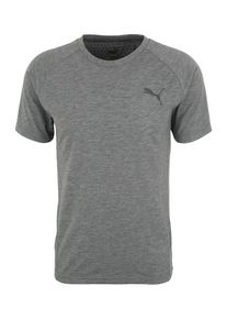 Puma, Herren Shirts 'Evostripe Move', Graumeliert