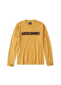 Abercrombie & Fitch Abercrombie & Fitch, Herren Shirt 'GLBL DTC LS TECH', Gelb