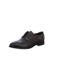 Ecco, Herren Schn&uuml;rschuhe, Dunkelbraun