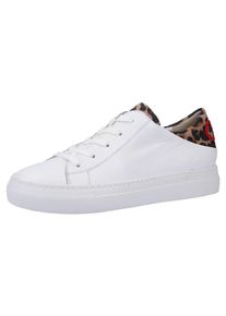 Paul Green, Damen Sneaker, Braun / Wei&szlig;