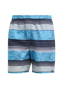 adidas Performance, Herren Badehose, Navy / Hellblau / Hellgrau