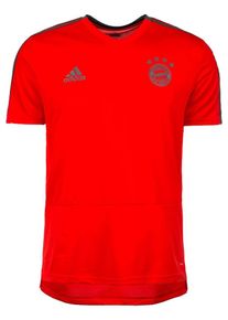adidas Performance, Herren 'FC Bayern München' Trainingsshirt, Rot