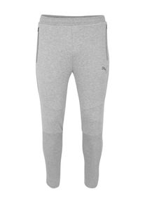 Puma, Herren Hosen 'Evostripe Move', Grau