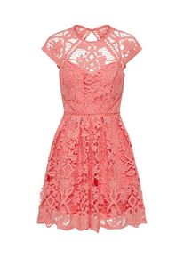 Laona, Damen Spitzenkleid, Koralle