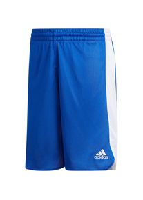 adidas Performance, Trainingsshorts 'Y Rev Crzy Ex', Blau / Wei&szlig;