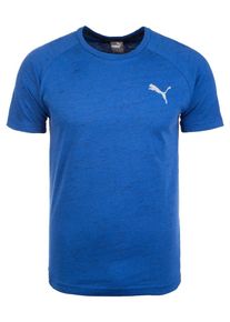 Puma, Herren Trainingsshirt 'Evostripe Spaceknit', Blaumeliert