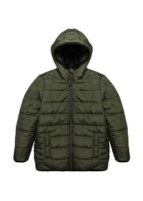 Esprit, Winterjacke, Grün