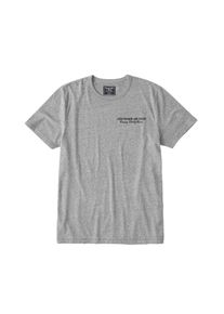 Abercrombie & Fitch Abercrombie & Fitch, Herren Shirt 'PRINT LOGO GLBL 5CC', Grau
