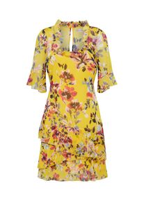French Connection, Damen Kleid, Zitrone / Mischfarben