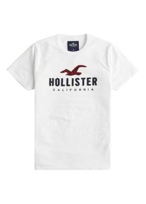 Hollister, Herren Shirt 'DTC SS ICONIC TECH LOGO', Weiß