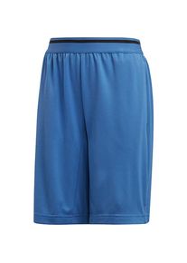adidas Performance, Trainingsshorts, Blau