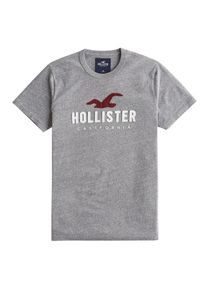 Hollister, Herren Shirt 'DTC SS ICONIC TECH LOGO', Grau